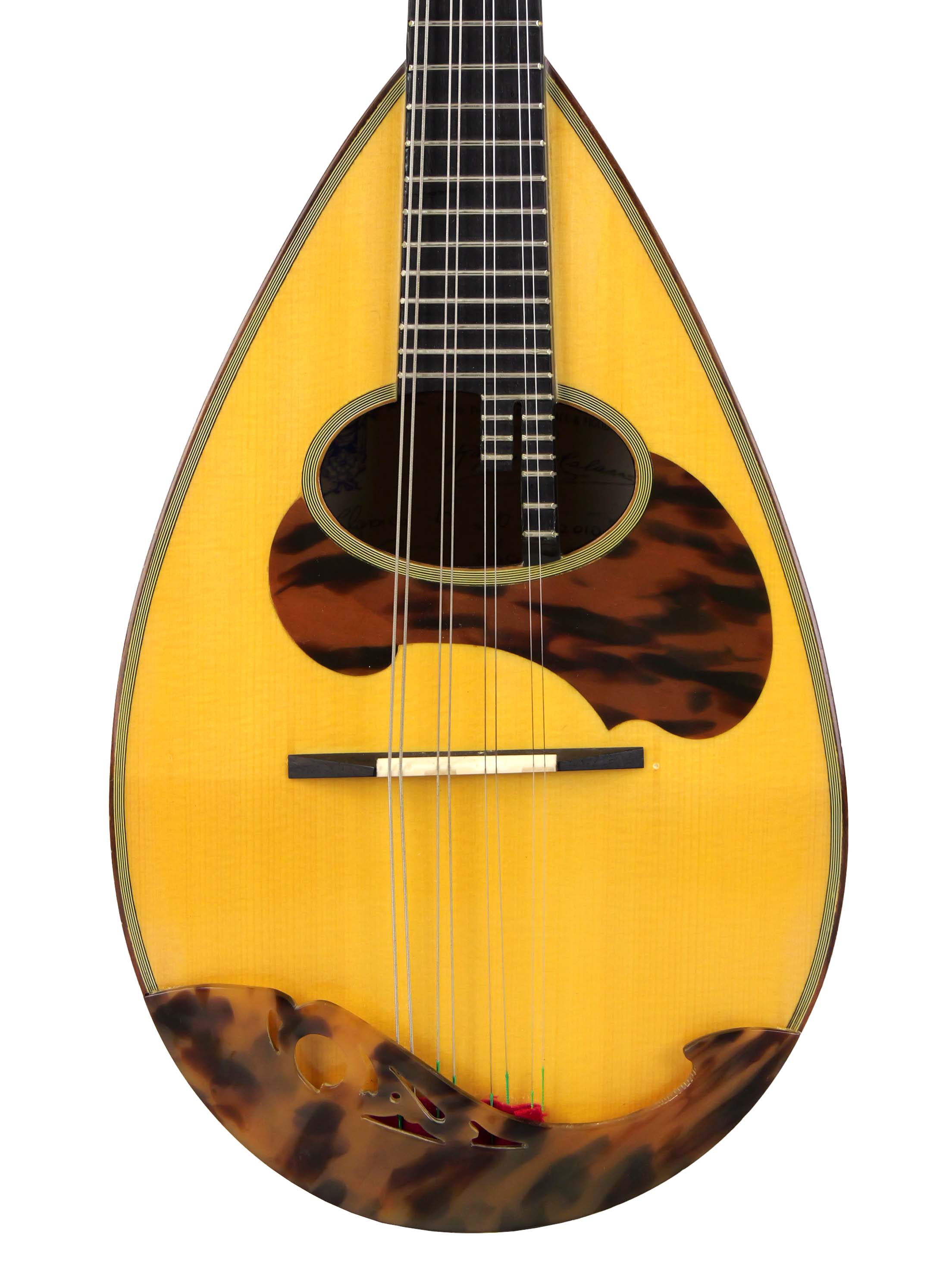 Calace クラシコB 2010【USED】