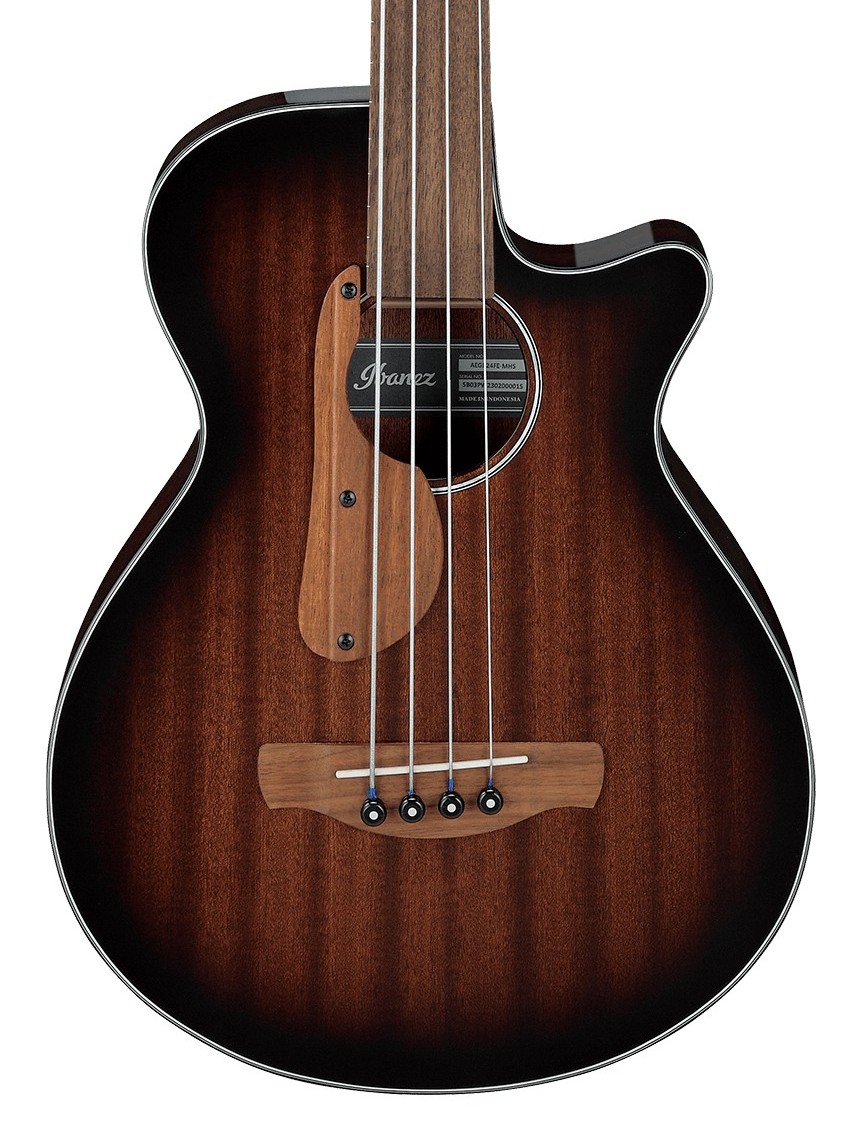 Ibanez AEGB24FE (MHS)